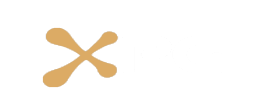 xprogaming (16 games)